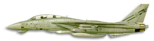 Grumman F-14 Tomcat profile drawing