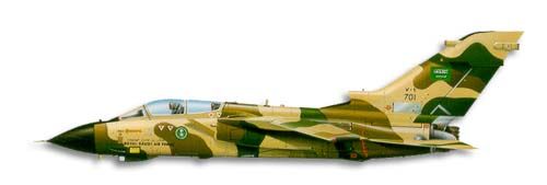 Panavia Tornado IDS profile drawing