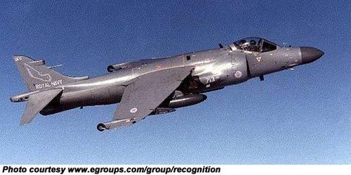 British Aerospace Sea Harrier - photo 1