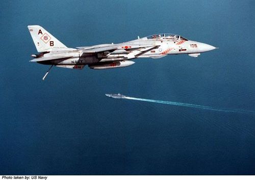Grumman F-14 Tomcat - photo 2