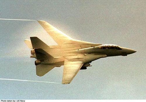 Grumman F-14 Tomcat - photo 1