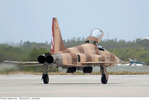 Northrop F-5E Tiger II - photo 4