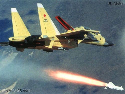 Sukhoi Su-30 Flanker - photo 4