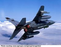 SEPECAT Jaguar - photo 1