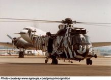 Westland Commando - photo 1