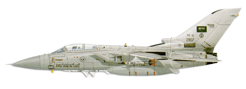 Panavia Tornado ADV profile drawing