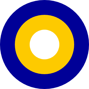 Bosnia and Herzegovina roundel