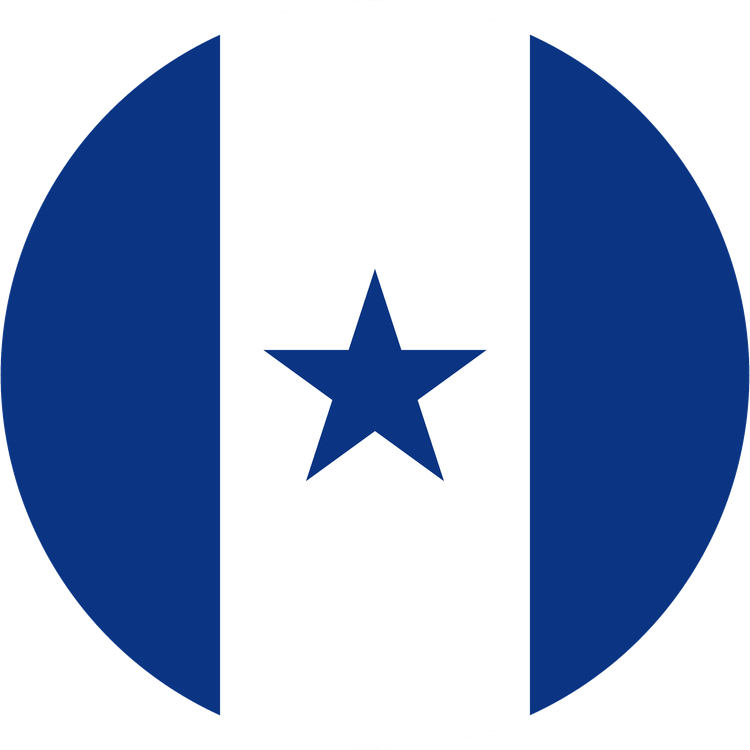 Honduras roundel