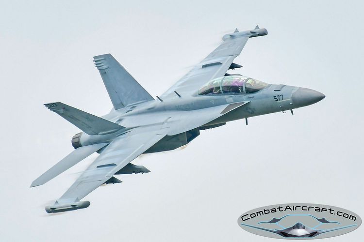 EA-18G Growler: The Electronic Warfare Fighter Clearing the Way