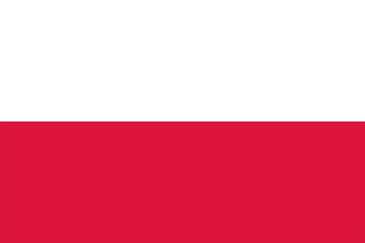 Poland to scrap its MiG-29 fighters instead of transferring them to Ukraine