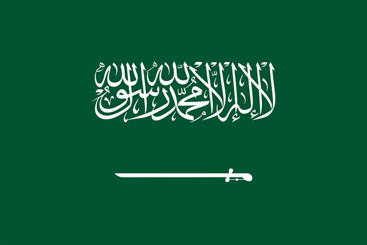 Houthis Claim a Saudi F-15 Shot Down Over Marib, Yemen
