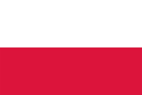 Poland to scrap its MiG-29 fighters instead of transferring them to Ukraine