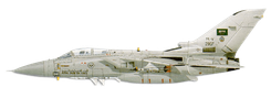 Panavia Tornado ADV