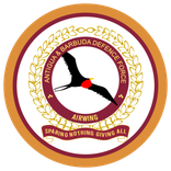 Antigua and Barbuda roundel